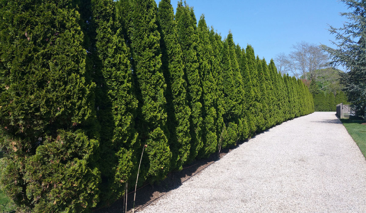 Hamptons Pebble Stone Driveway