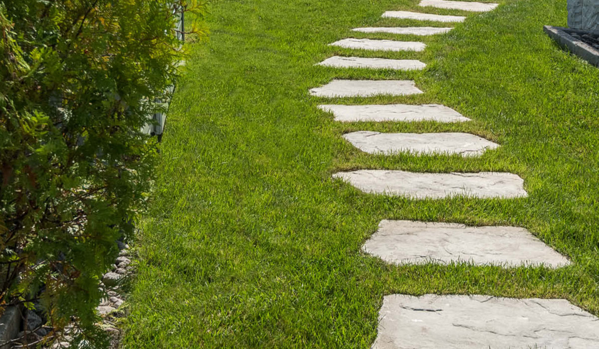 Grass Garden Path